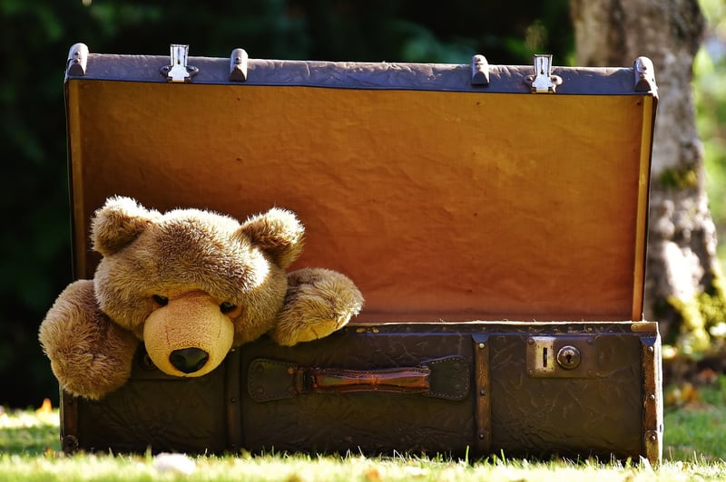 Packing Essentials